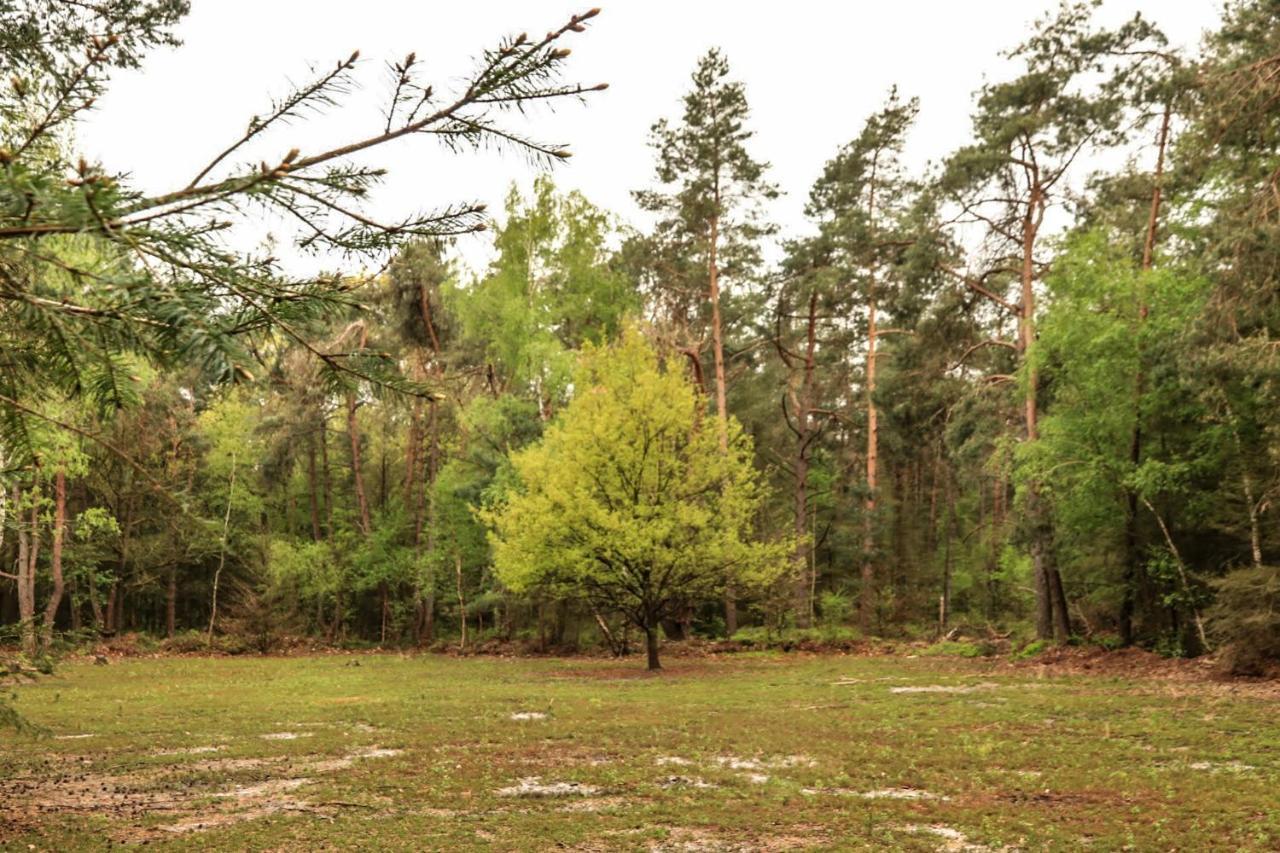 Vakantiehuis De Weeser Enk Epe Kültér fotó